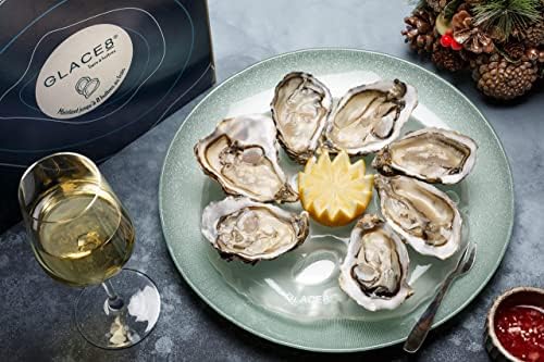 Assiette à Huîtres Réfrigérante — Poche de Glace — accessoire ostréicole, Boutique Larmor-Baden